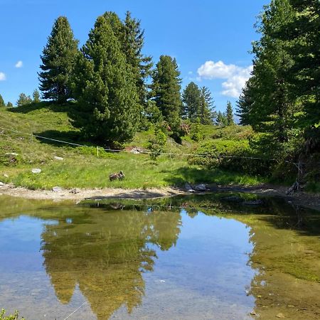 Landhaus Rieder Im Zillertal Lägenhet Aschau Im Zillertal Exteriör bild