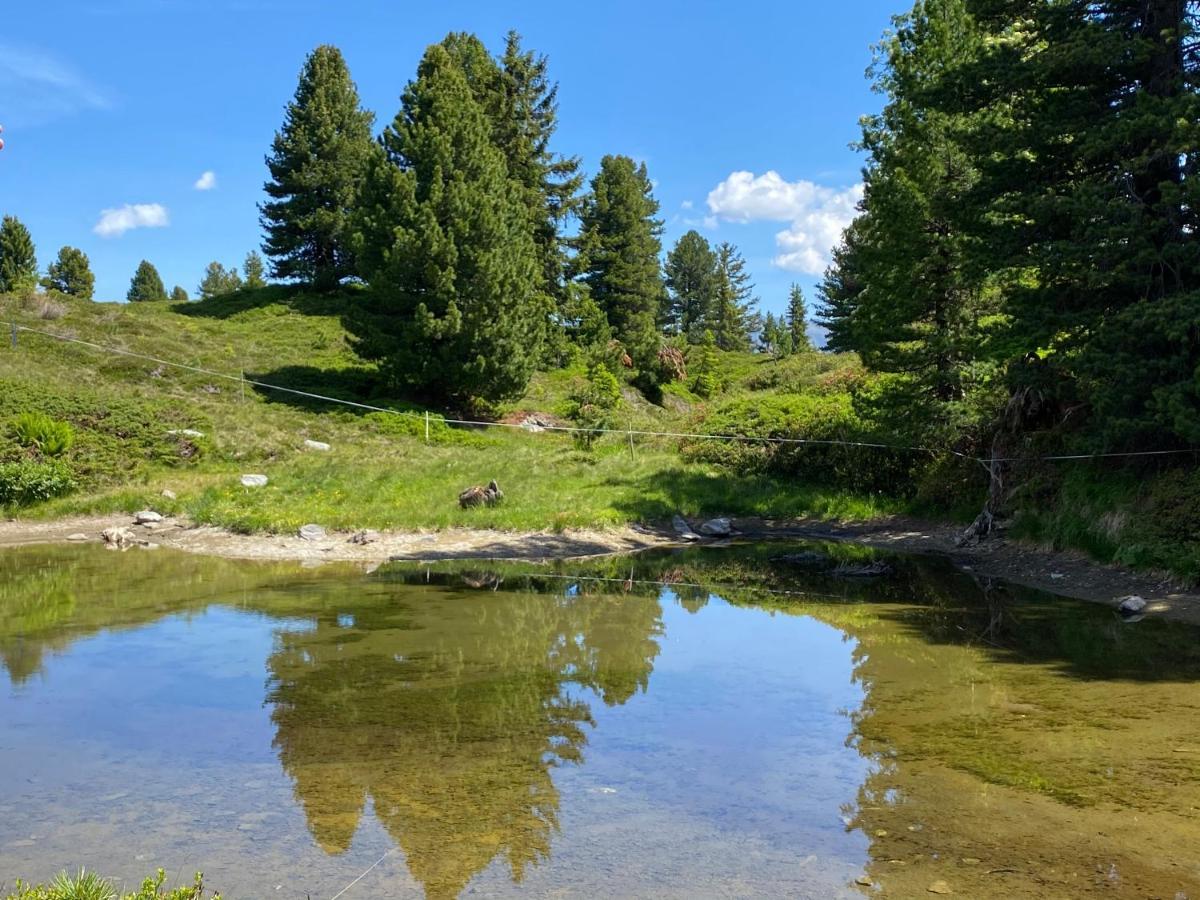 Landhaus Rieder Im Zillertal Lägenhet Aschau Im Zillertal Exteriör bild